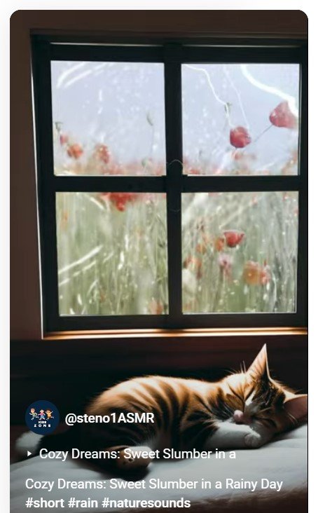 Cozy Dreams: Sweet Slumber in a Rainy Day