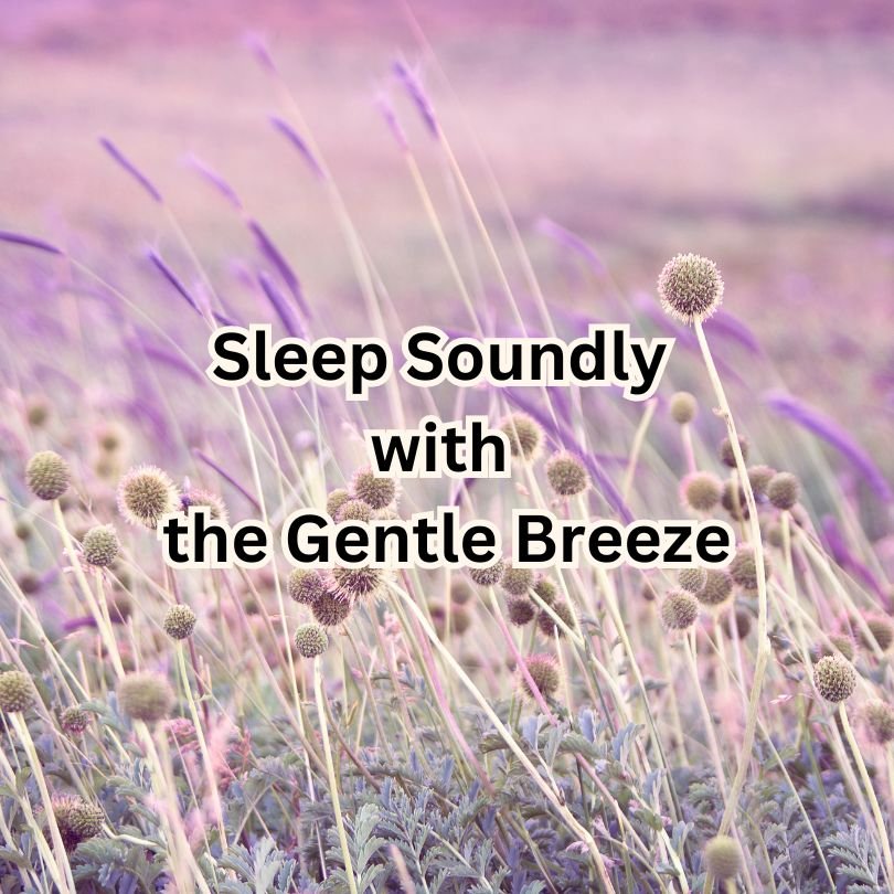 Tranquil Dreams: Sleep Soundly with the Gentle Breeze