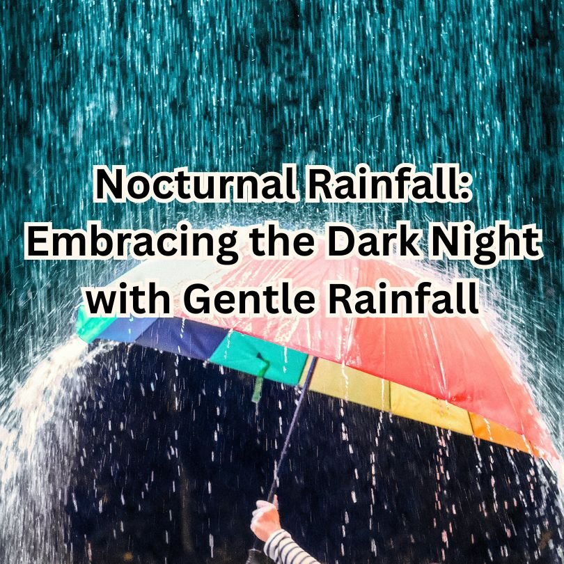 Nocturnal Rainfall: Embracing the Dark Night with Gentle Rainfall