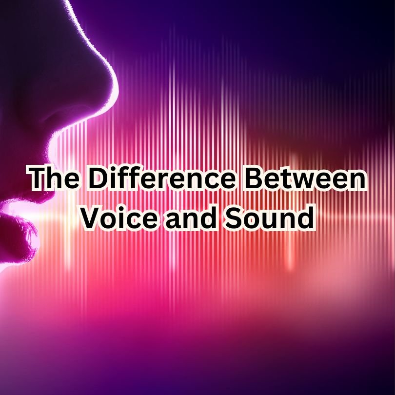 The Difference Between Voice and Sound